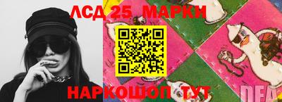 гашик Шелехов