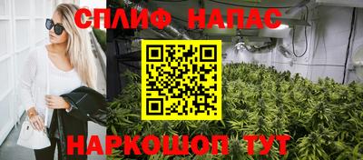 гашик Шелехов