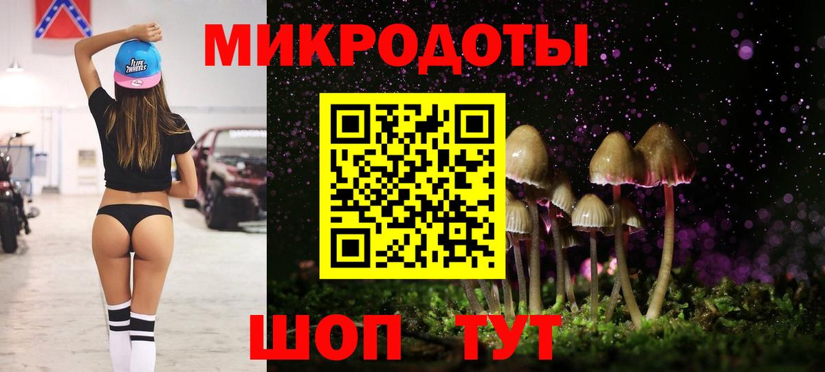 Вязники  Псилоцибиновые грибы GOLDEN TEACHER  Галлюциногенные грибы GOLDEN TEACHER  Вход с VPN 